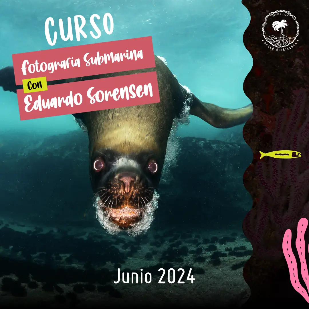 Curso de fotografía con Eduardo Sorensen