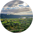 Aristides Caloguerea profile picture